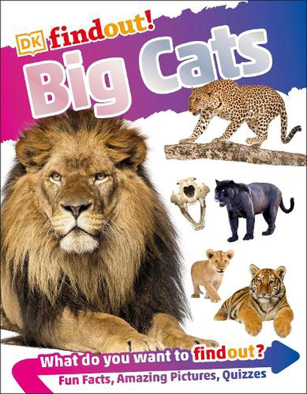 DKfindout! Big Cats by DK, Paperback, 9780241358412 | Buy online at The ...