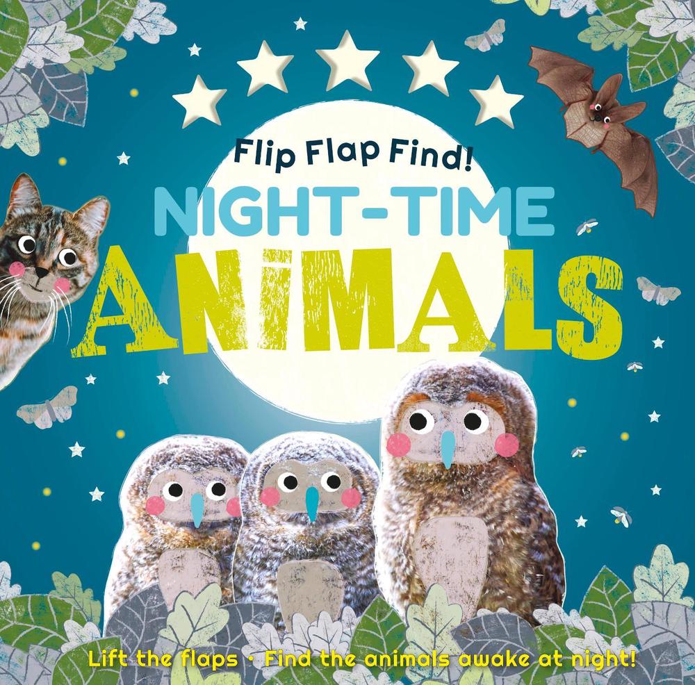 Flip Flap Find! Night-time Animals by DK - ISBN: 9780241395790