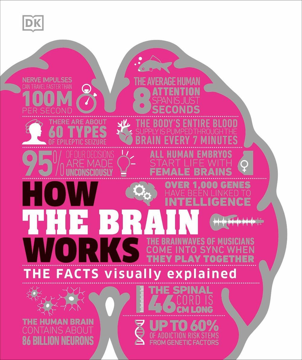 How the Brain Works by DK - ISBN: 9780241403372
