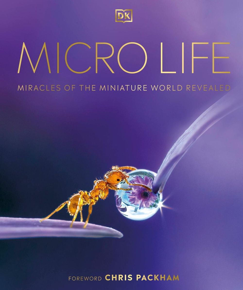 Micro Life by DK - ISBN: 9780241412756