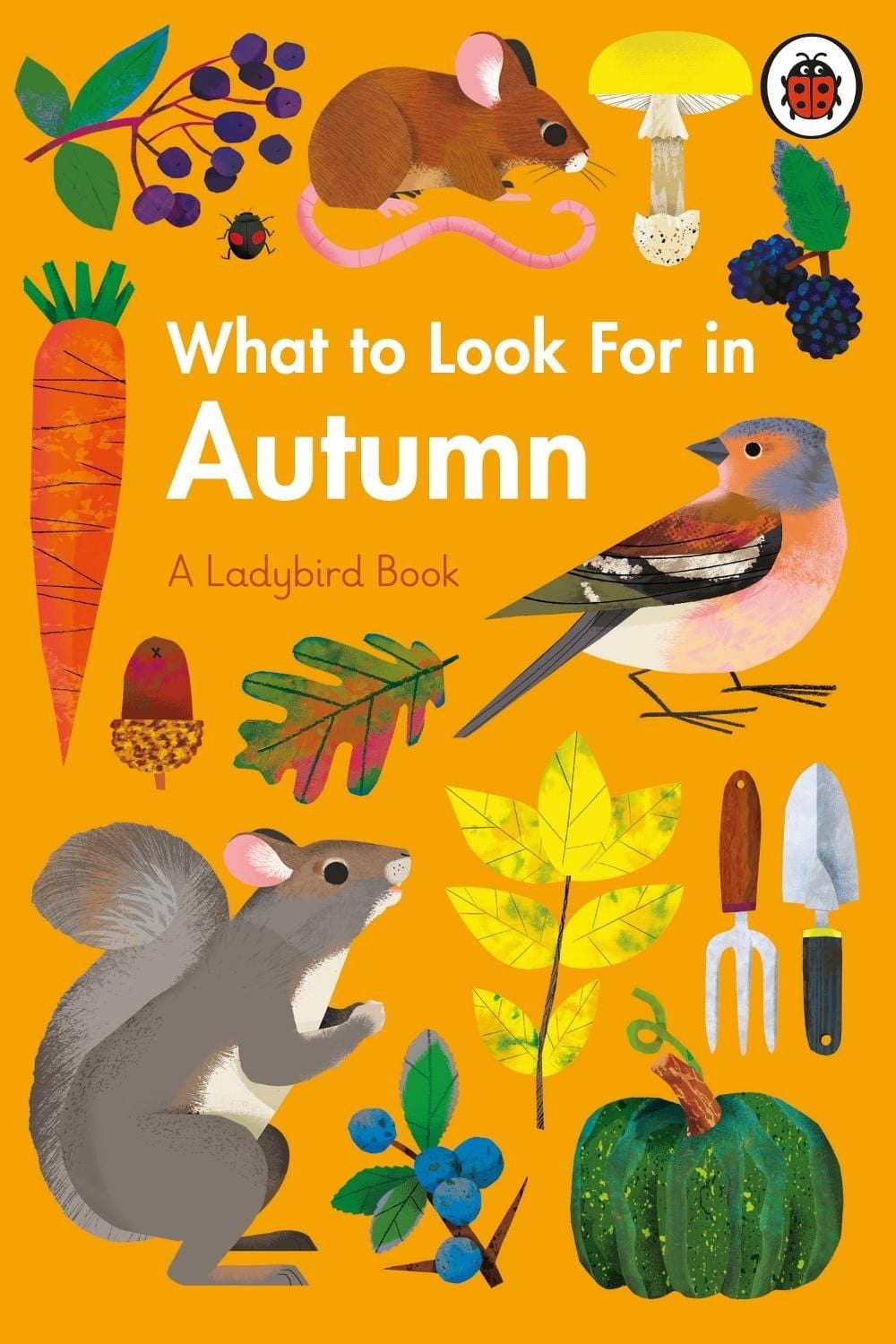 What to Look For in Autumn by Elizabeth Jenner - ISBN: 9780241416167