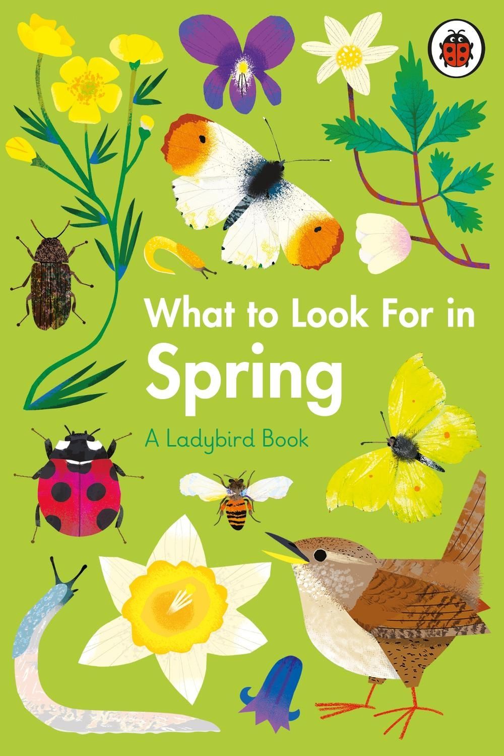 What to Look For in Spring by Elizabeth Jenner - ISBN: 9780241416181