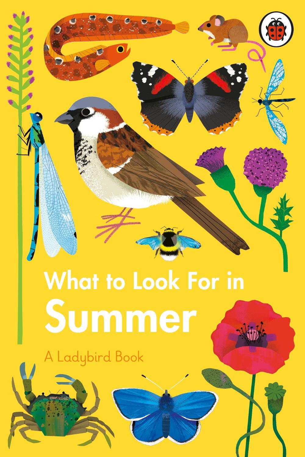 What to Look For in Summer, 9780241416204