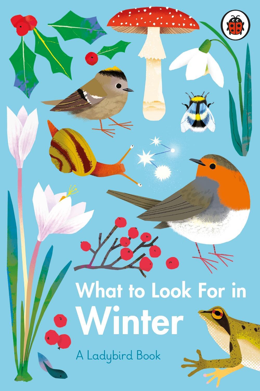 What to Look For in Winter by Elizabeth Jenner - ISBN: 9780241416228