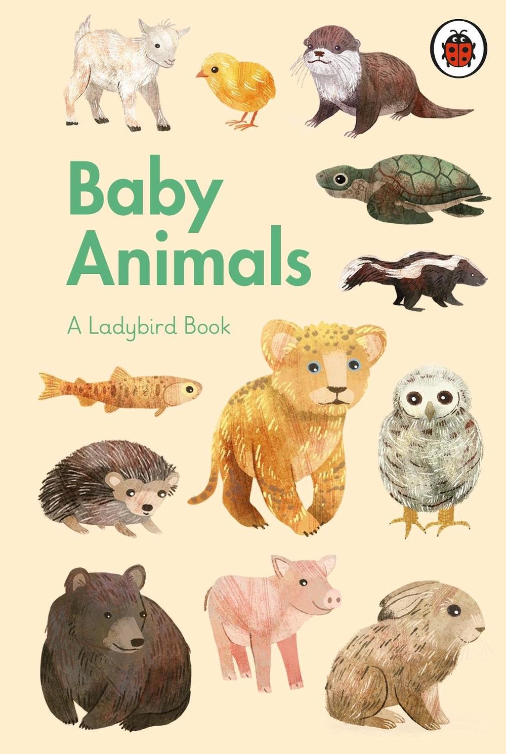 A Ladybird Book: Baby Animals by Stephanie Fizer Coleman - ISBN: 9780241416907