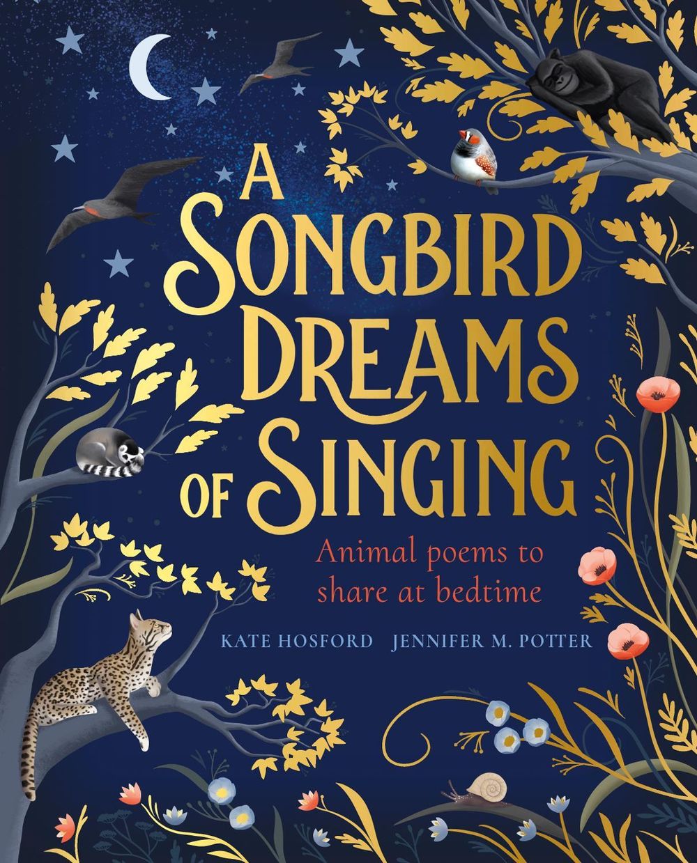 A Songbird Dreams of Singing by Kate Hosford - ISBN: 9780241421123