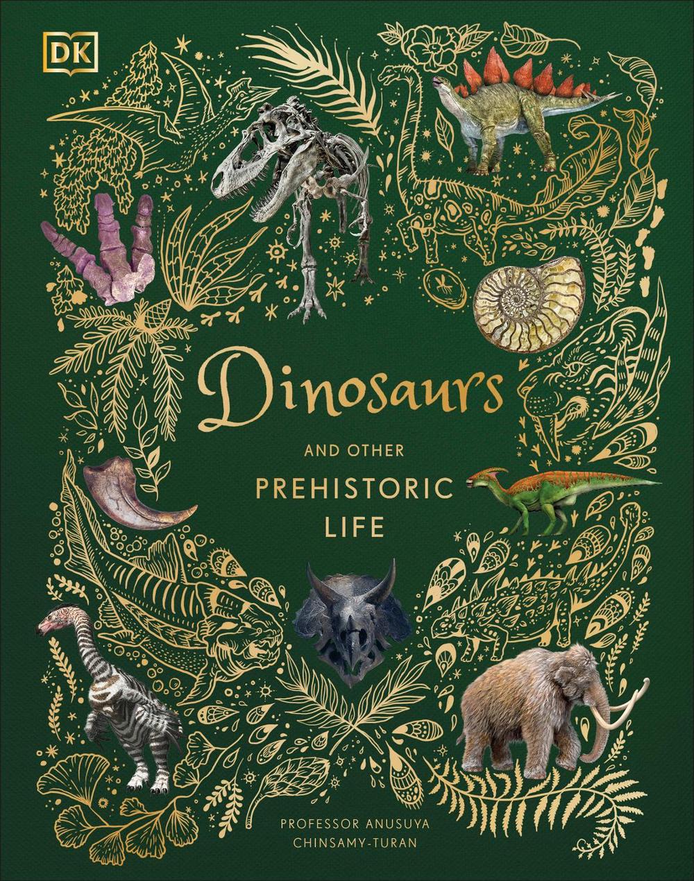 Dinosaurs and Other Prehistoric Life, 9780241491621