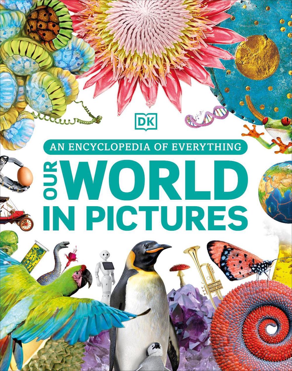 Our World in Pictures by DK - ISBN: 9780241515303