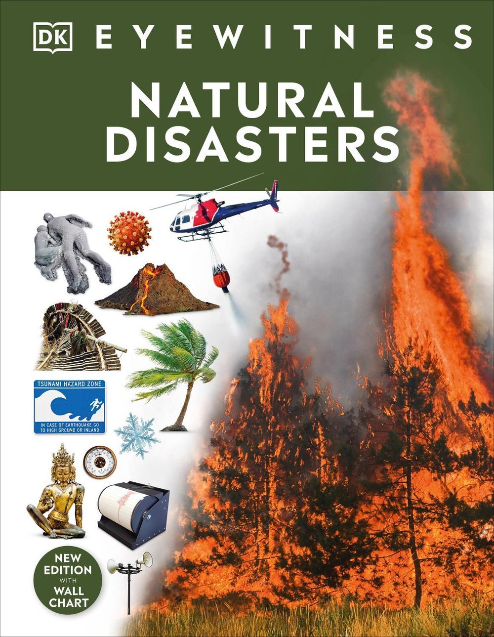 Natural Disasters by DK - ISBN: 9780241553022