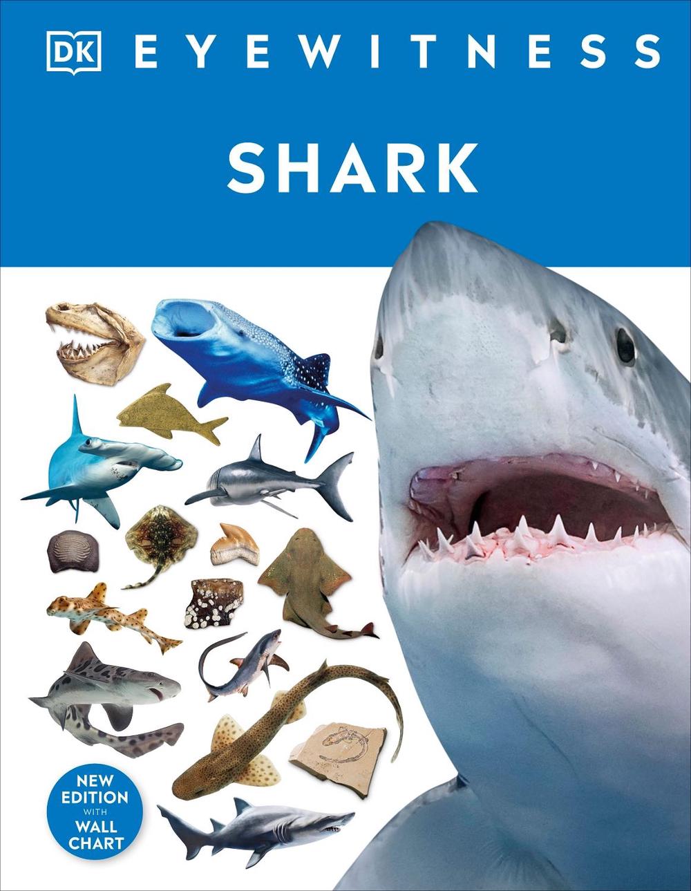 Shark by Dk - ISBN: 9780241553039