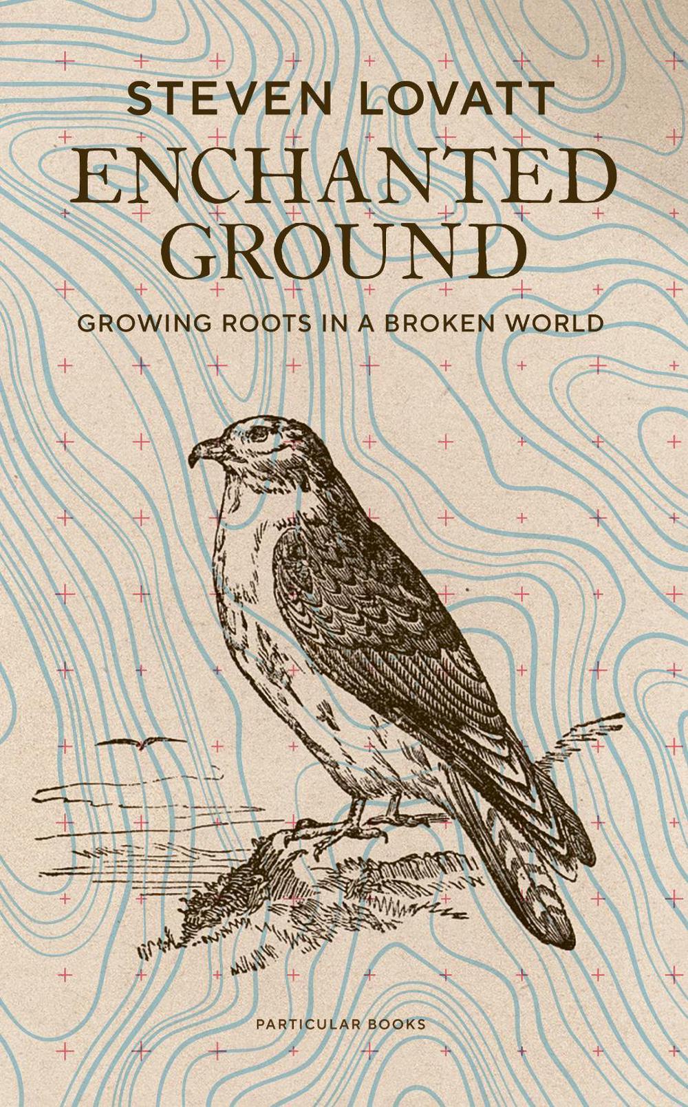 Enchanted Ground, 9780241561386