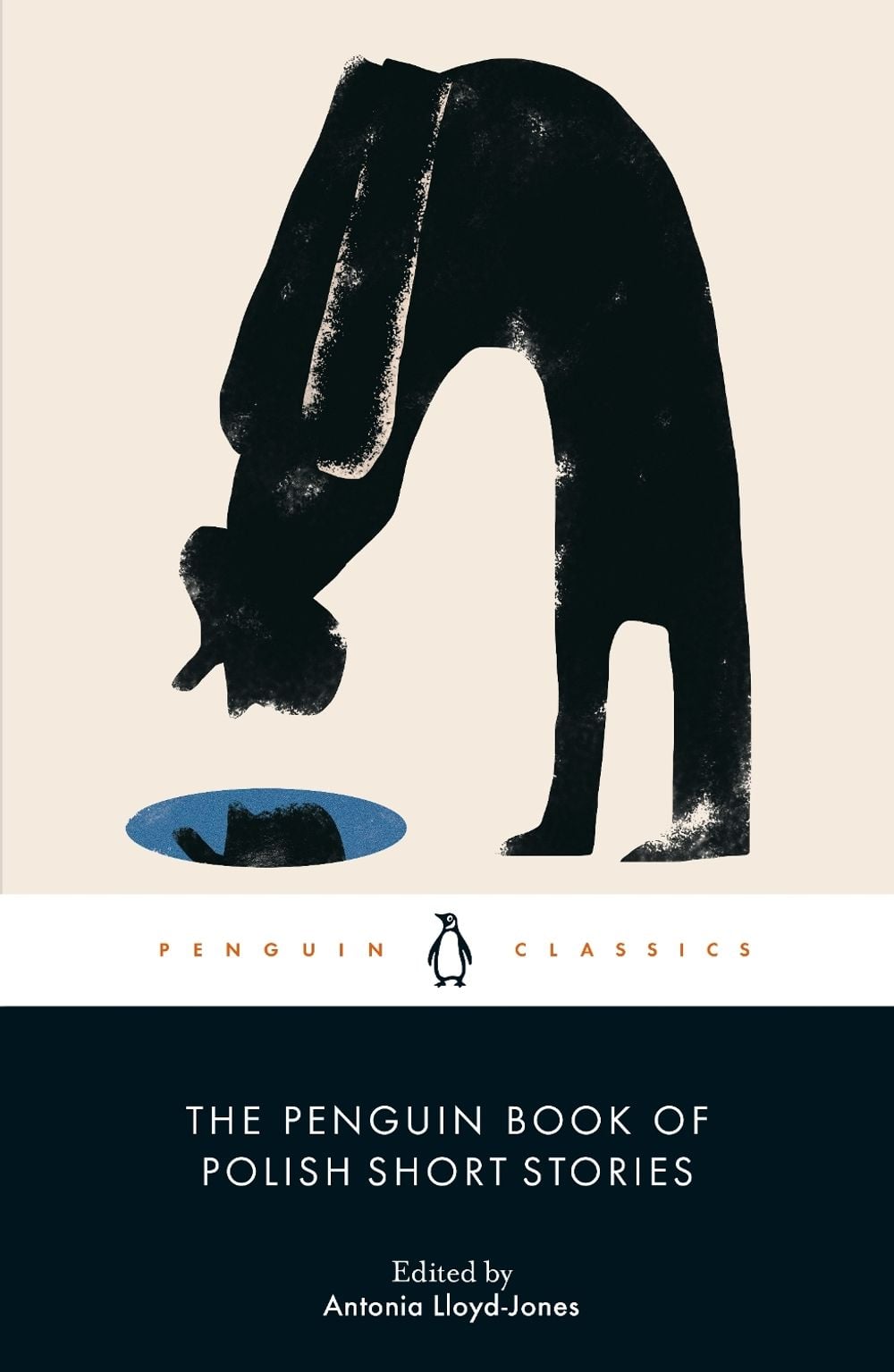 The Penguin Book of Polish Short Stories by Antonia Lloyd-Jones - ISBN: 9780241563403