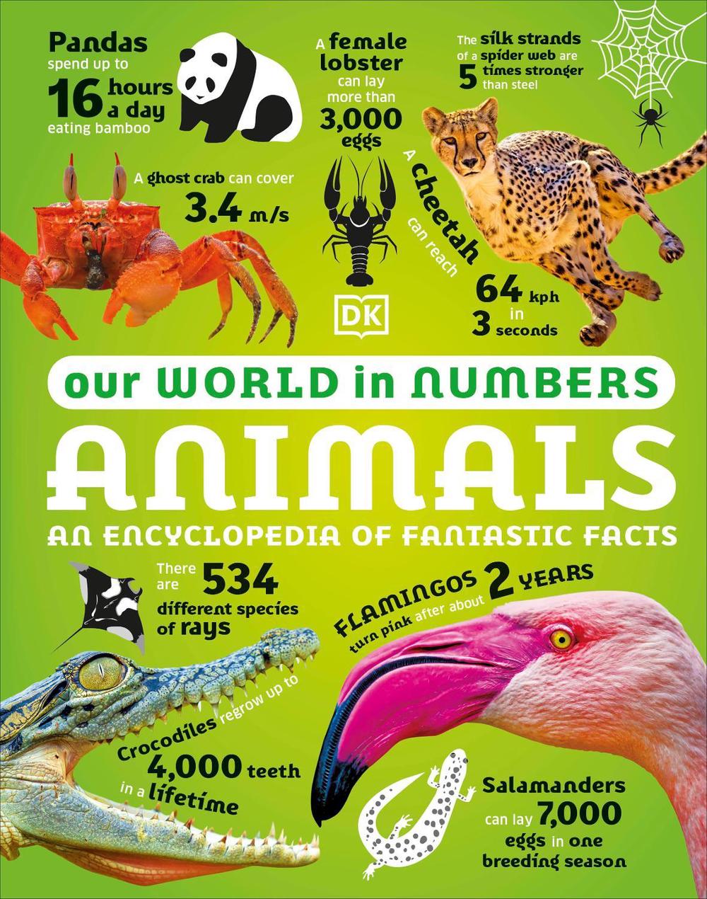 Our World in Numbers Animals by DK - ISBN: 9780241569795