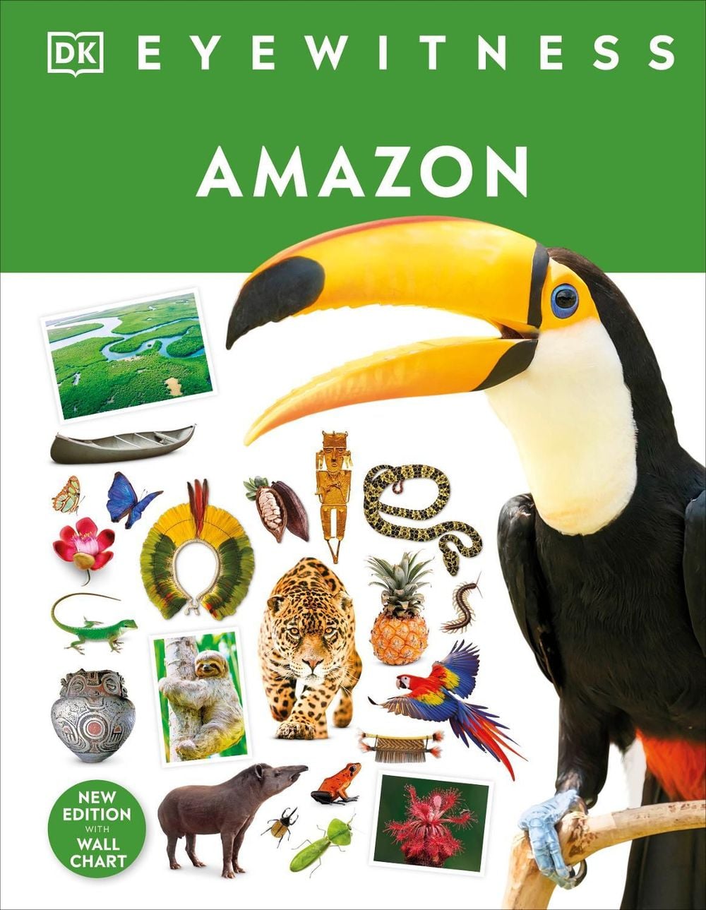 Amazon by DK - ISBN: 9780241569849