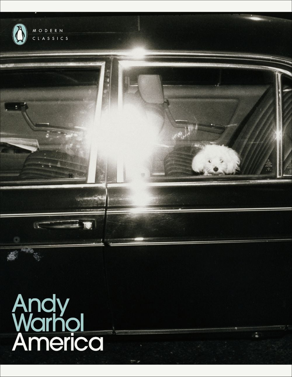 America by Andy Warhol - ISBN: 9780241586273