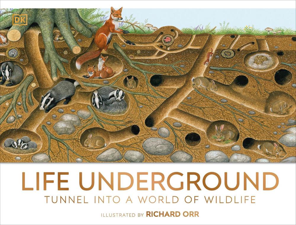 Life Underground by DK - ISBN: 9780241595770
