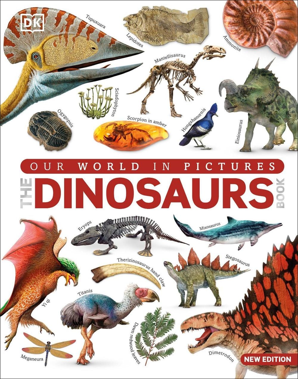 The Dinosaurs Book by DK - ISBN: 9780241601655