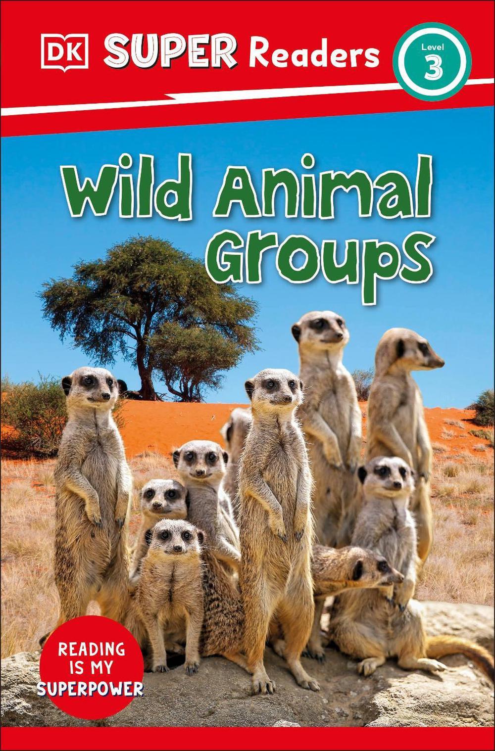 DK Super Readers Level 3 Wild Animal Groups by DK - ISBN: 9780241603451