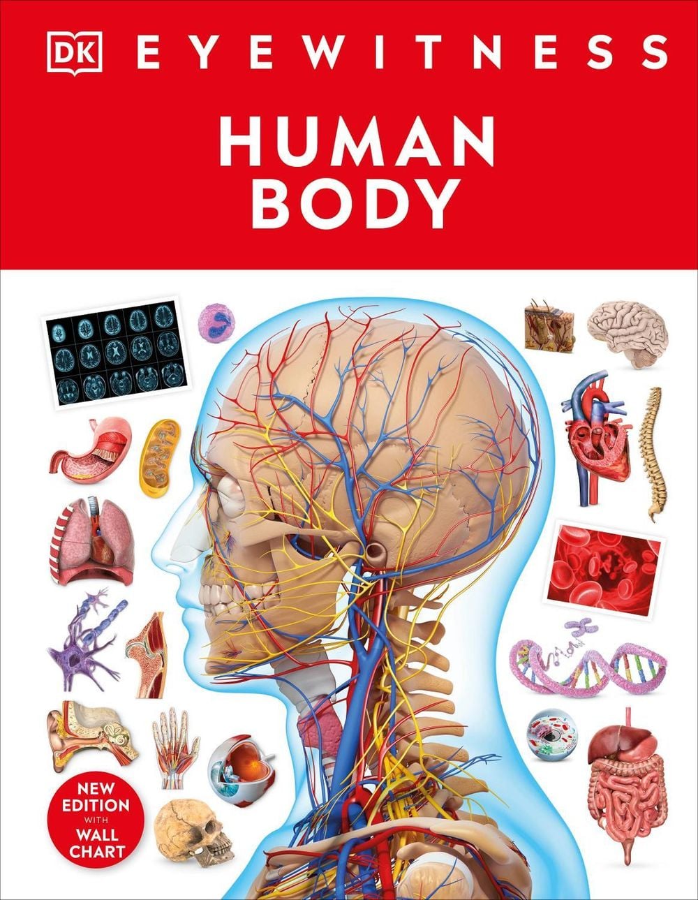 Human Body by DK - ISBN: 9780241617175