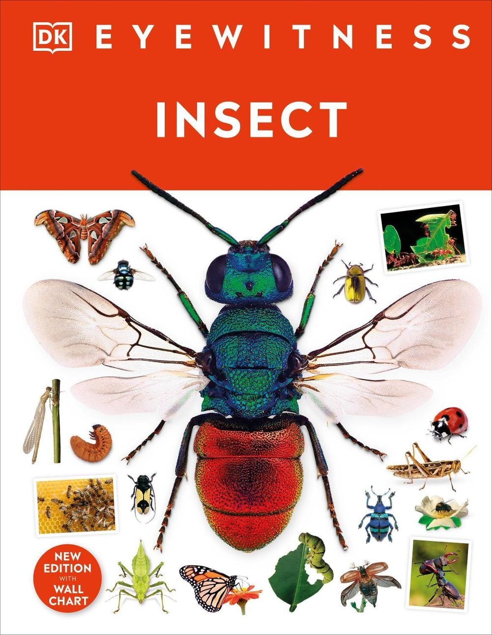 Insect by DK - ISBN: 9780241617311