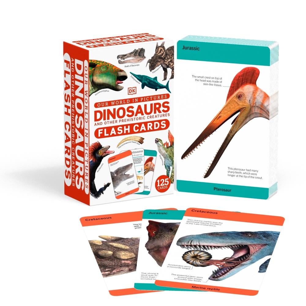 Our World in Pictures Dinosaurs and Other Prehistoric Creatures Flash Cards by DK - ISBN: 9780241620090
