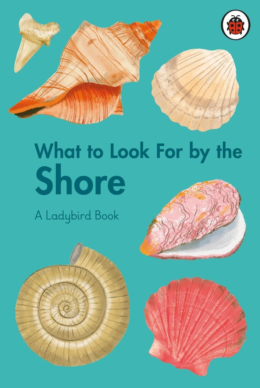 What to Look For by the Shore by Becky Brown - ISBN: 9780241626139