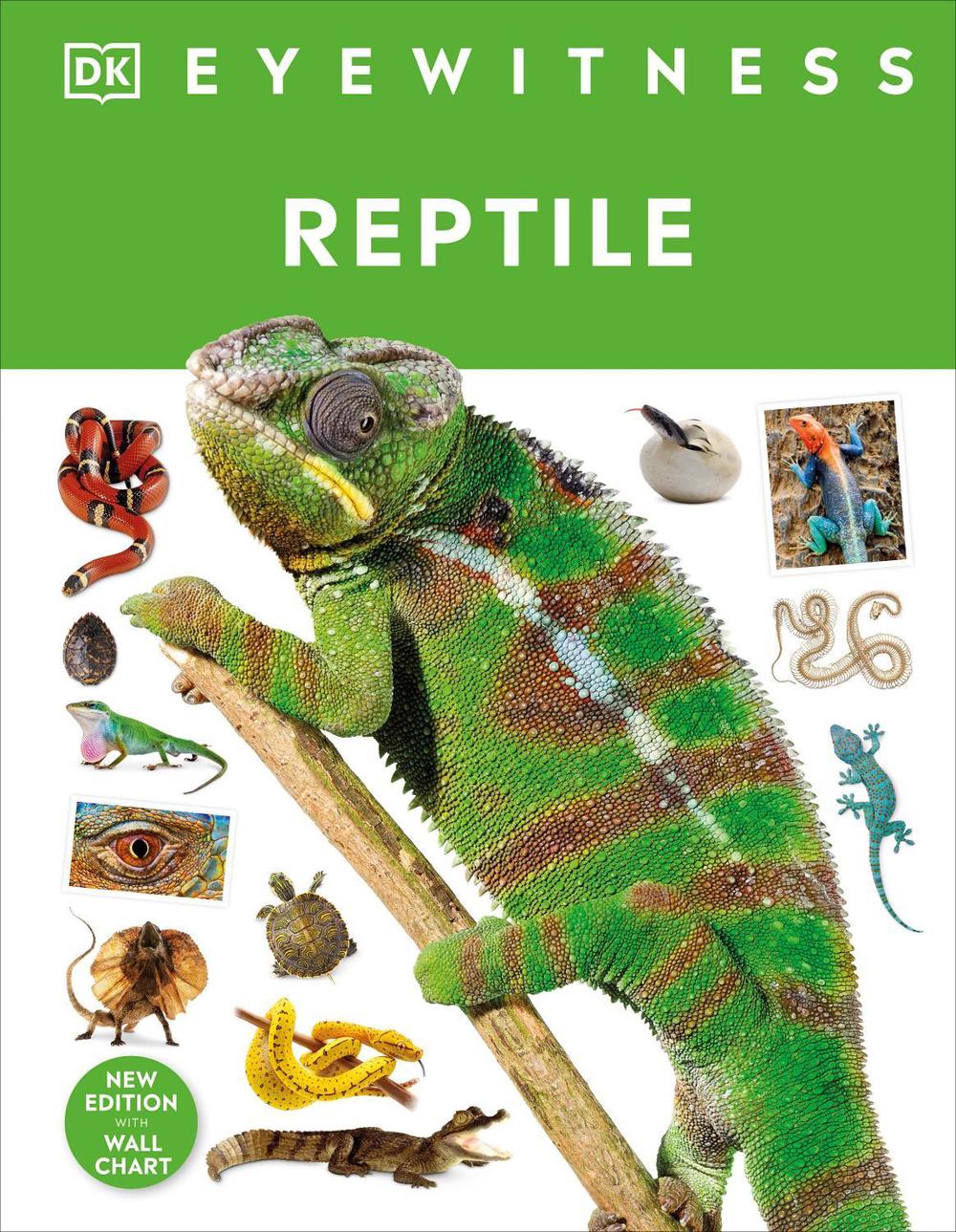 Reptile by Colin McCarthy - ISBN: 9780241631676