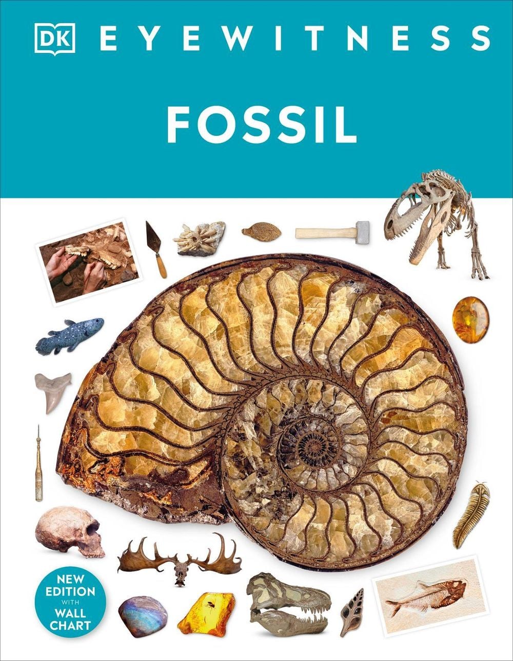 Fossil by Dr Paul David Taylor - ISBN: 9780241652770