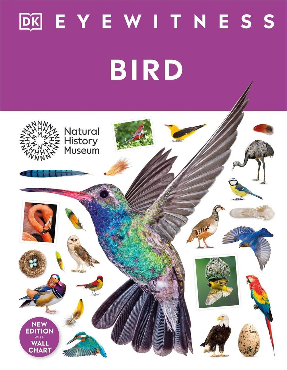Bird by DK - ISBN: 9780241652817