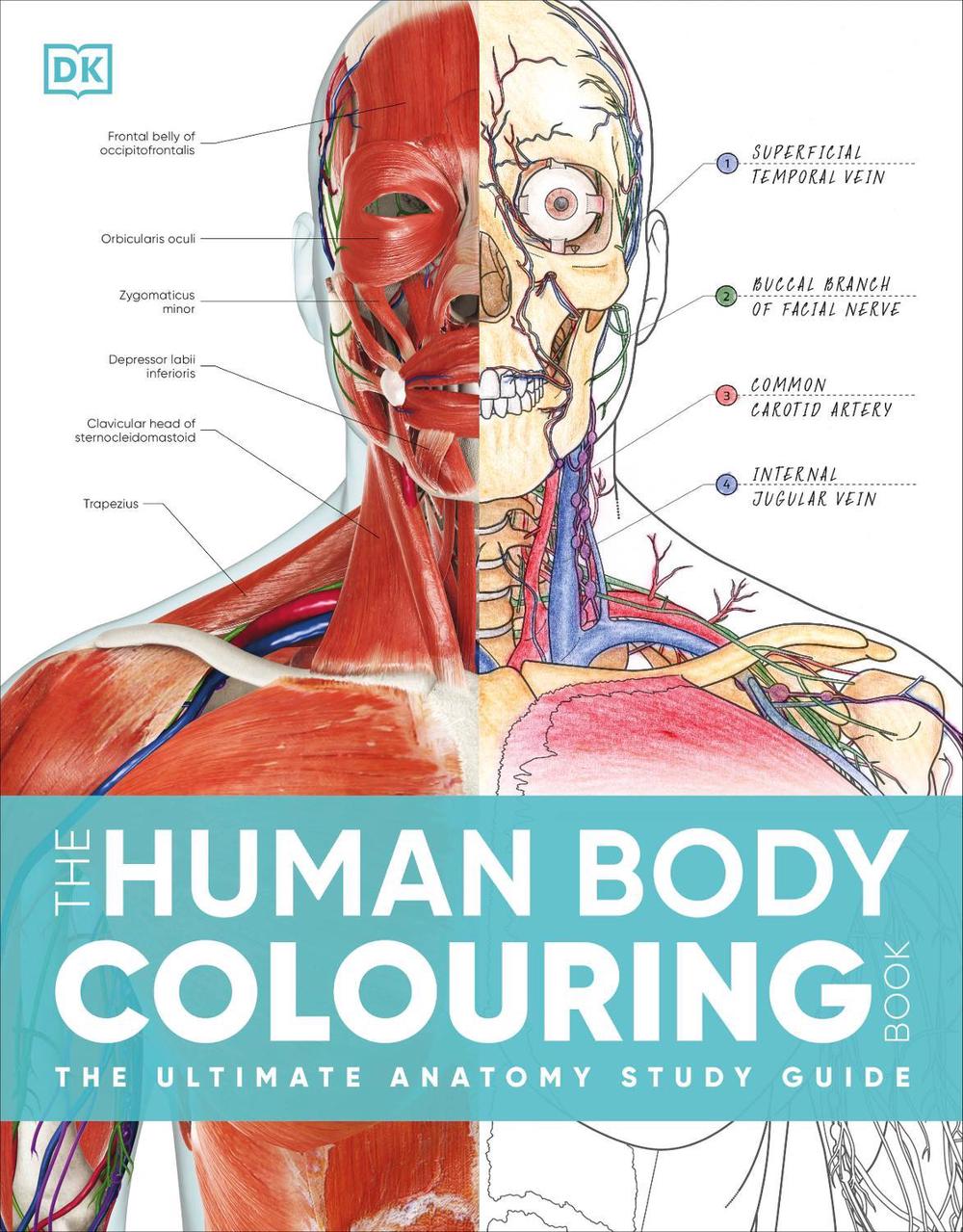The Human Body Colouring Book, 9780241664537