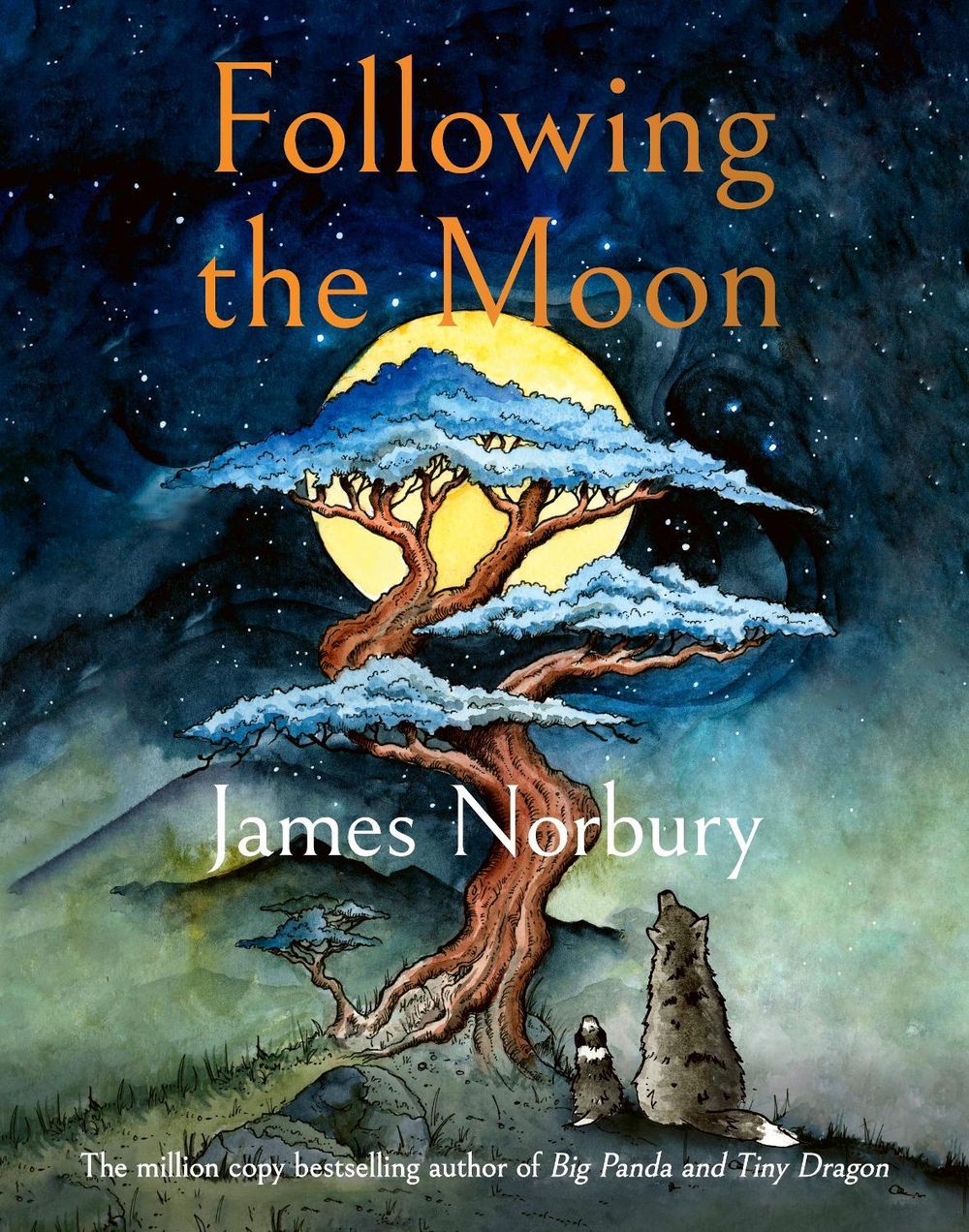 Following the Moon by James Norbury - ISBN: 9780241686737