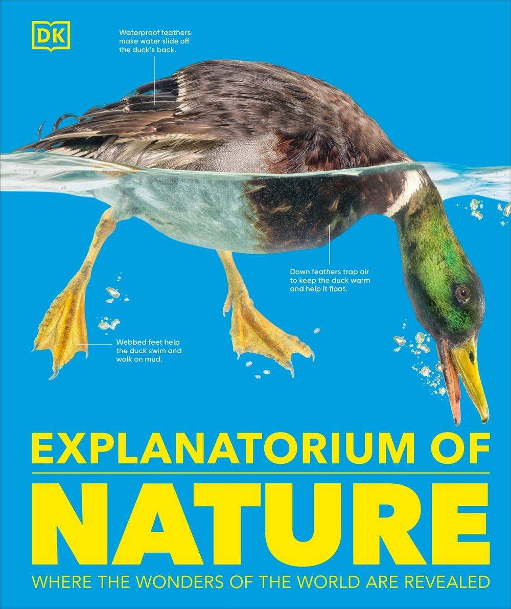 Explanatorium of Nature by DK - ISBN: 9780241688083