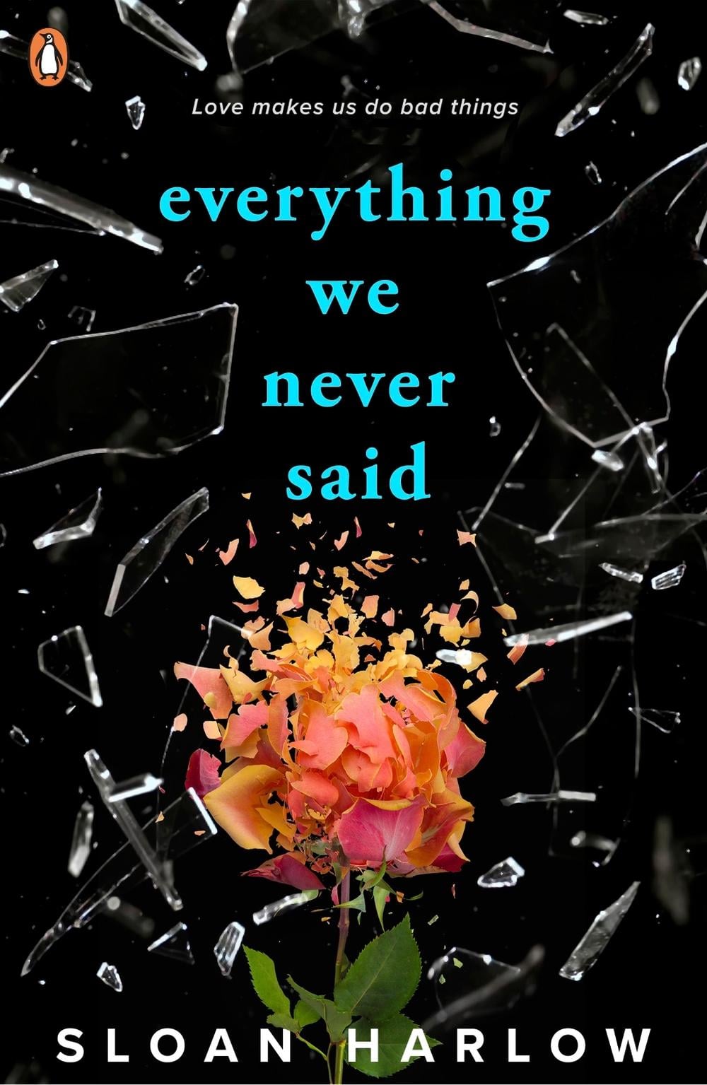 Everything We Never Said by Sloan Harlow - ISBN: 9780241702598