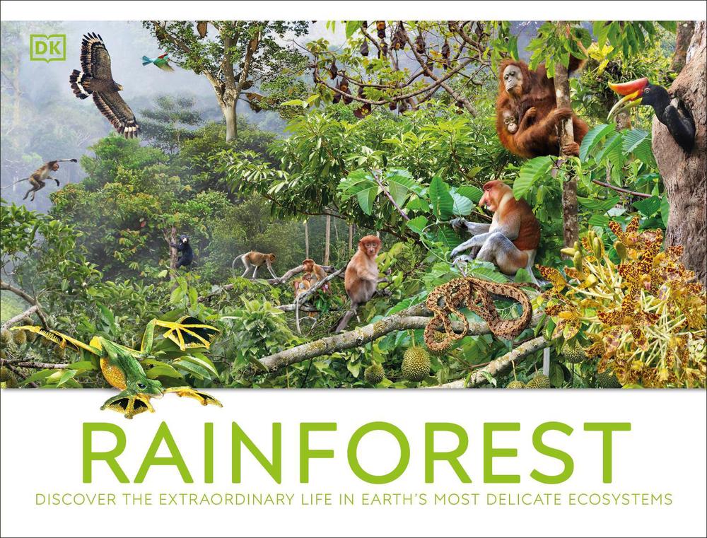 Rainforest by DK - ISBN: 9780241716427