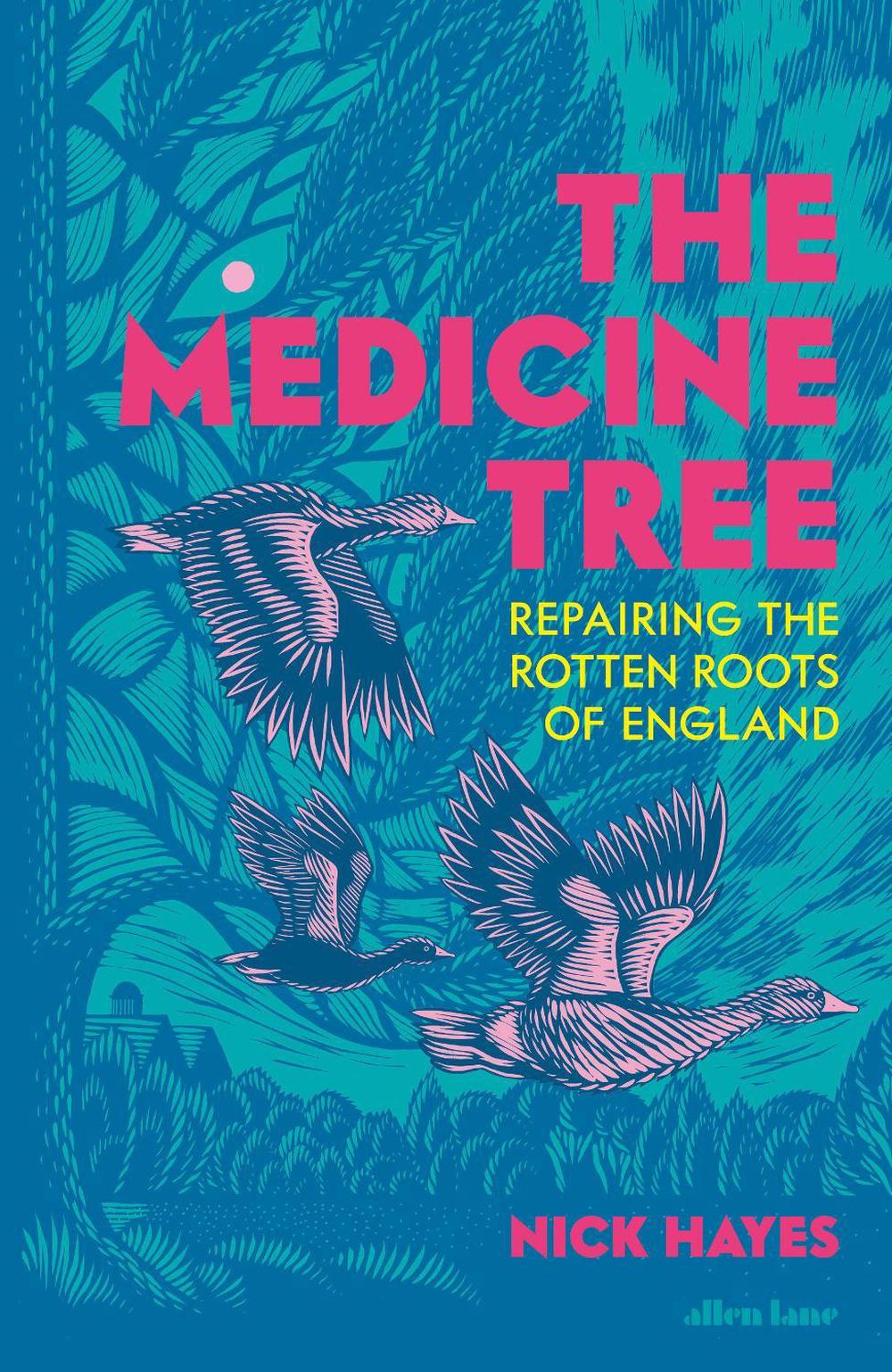 The Medicine Tree by Nick Hayes - ISBN: 9780241731321