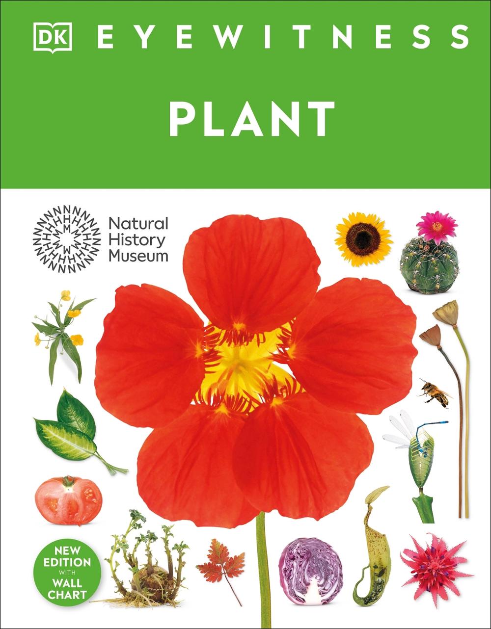 Eyewitness Plant, 9780241738788
