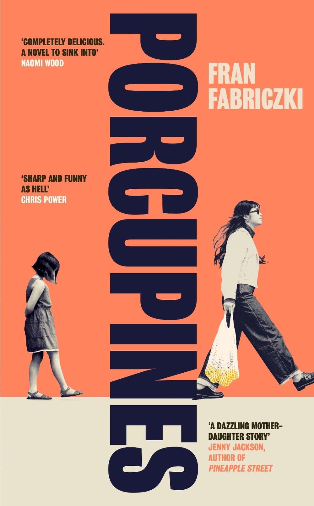 Porcupines by Fran Fabriczki - ISBN: 9780241741672