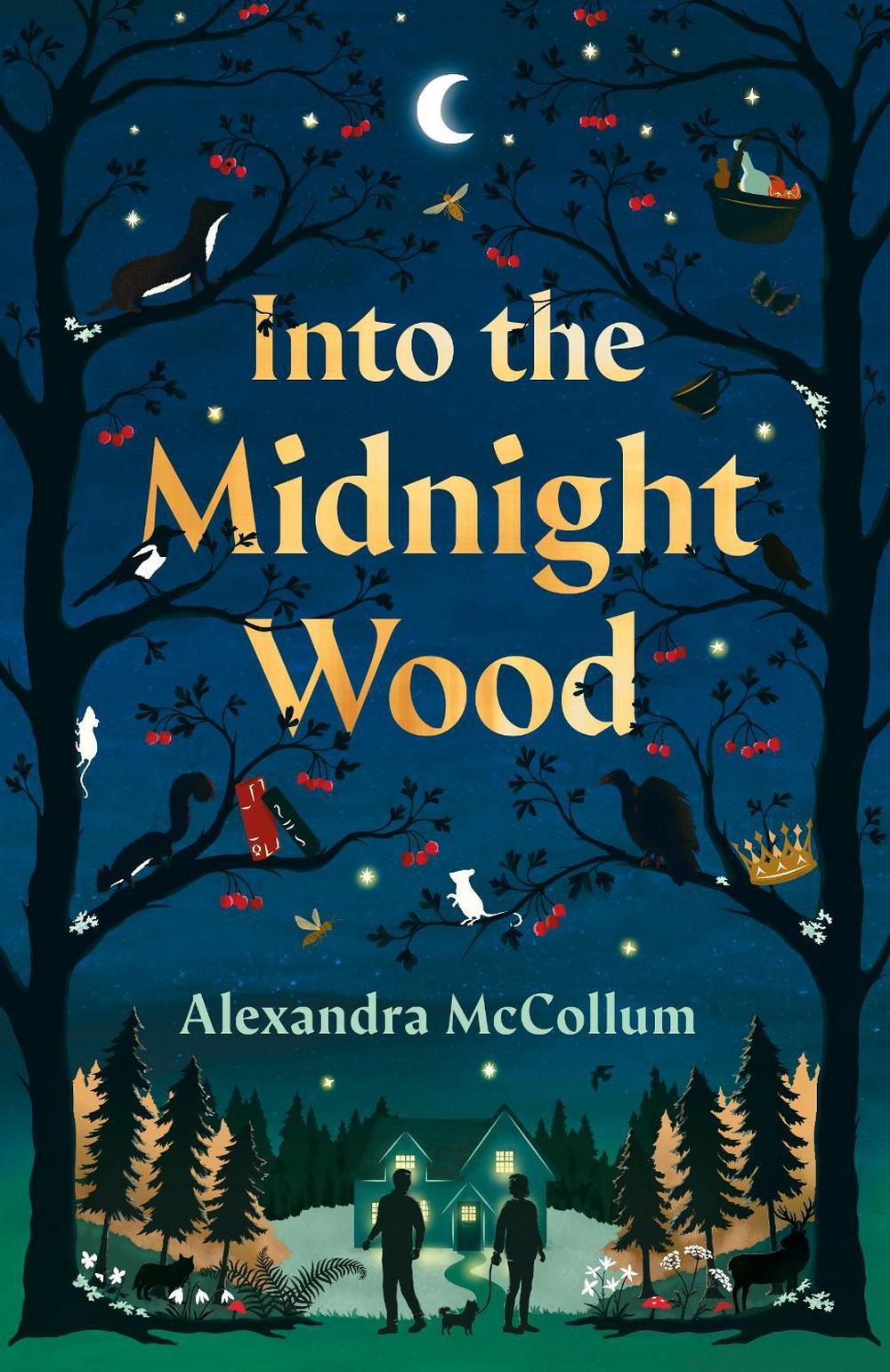 Into the Midnight Wood by Alexandra McCollum - ISBN: 9780241782835