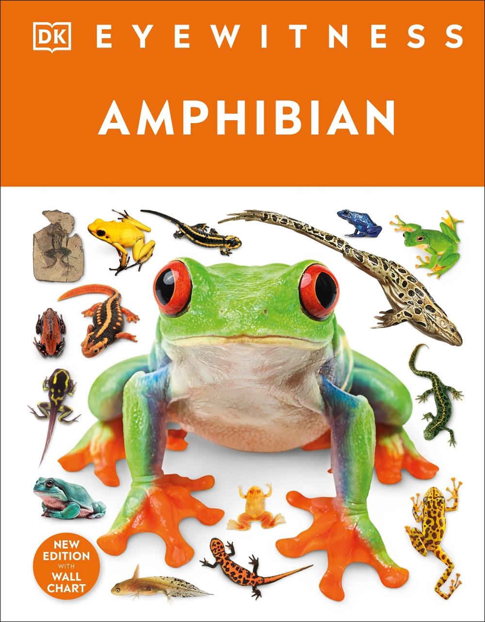 Eyewitness Amphibian by DK - ISBN: 9780241789803