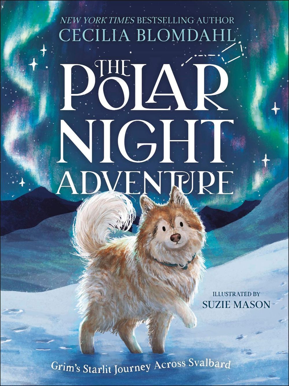 The Polar Night Adventure by Cecilia Blomdahl - ISBN: 9780241802120