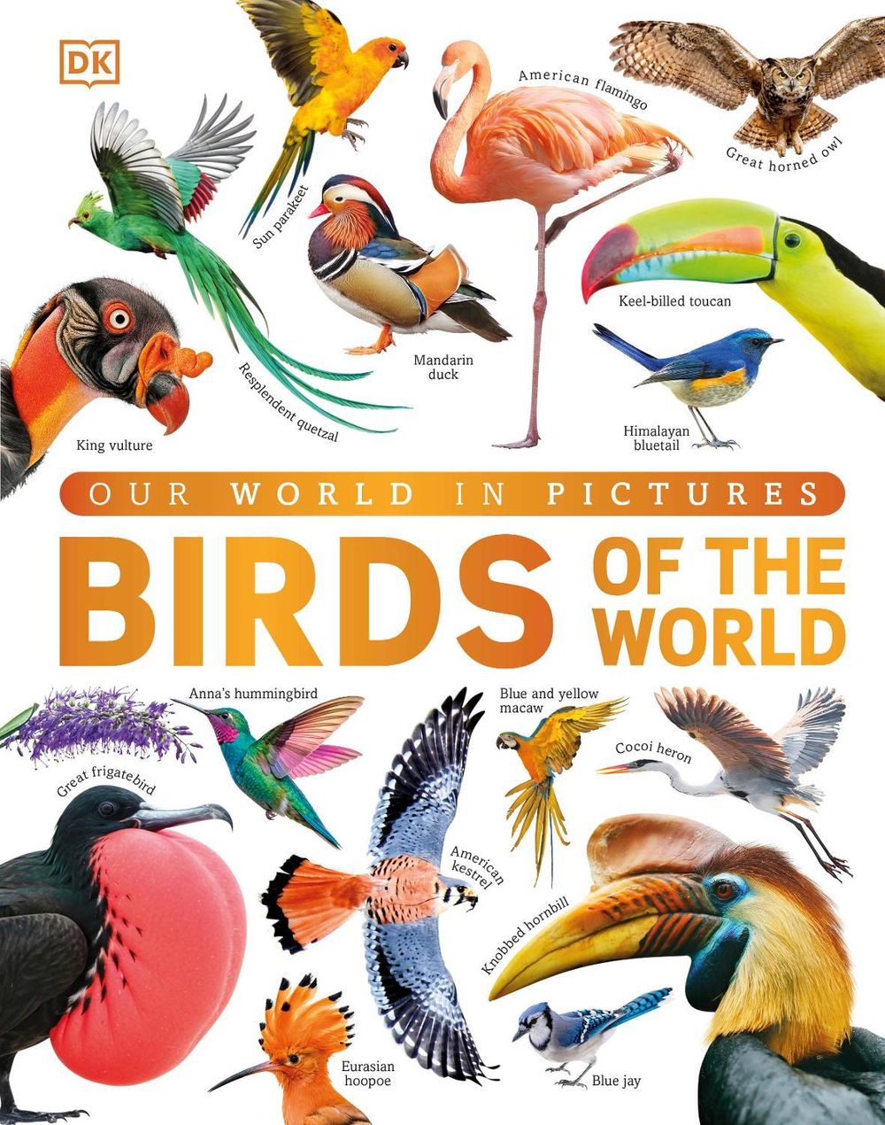 Our World in Pictures Birds of the World by DK - ISBN: 9780241836569