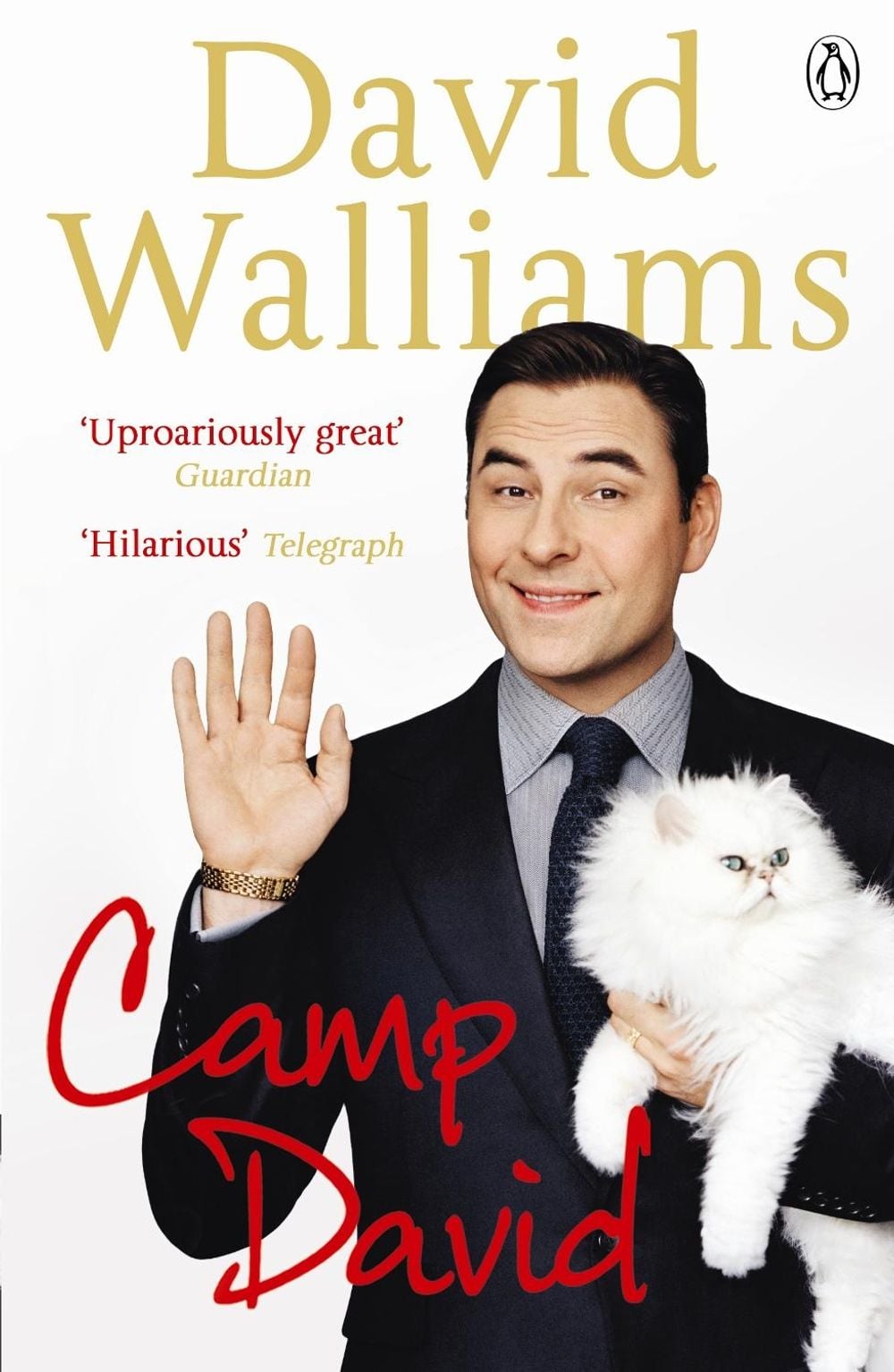Camp David by David Walliams - ISBN: 9780241957721