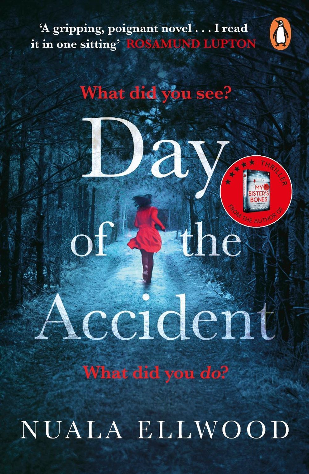 Day of the Accident by Nuala Ellwood - ISBN: 9780241977347