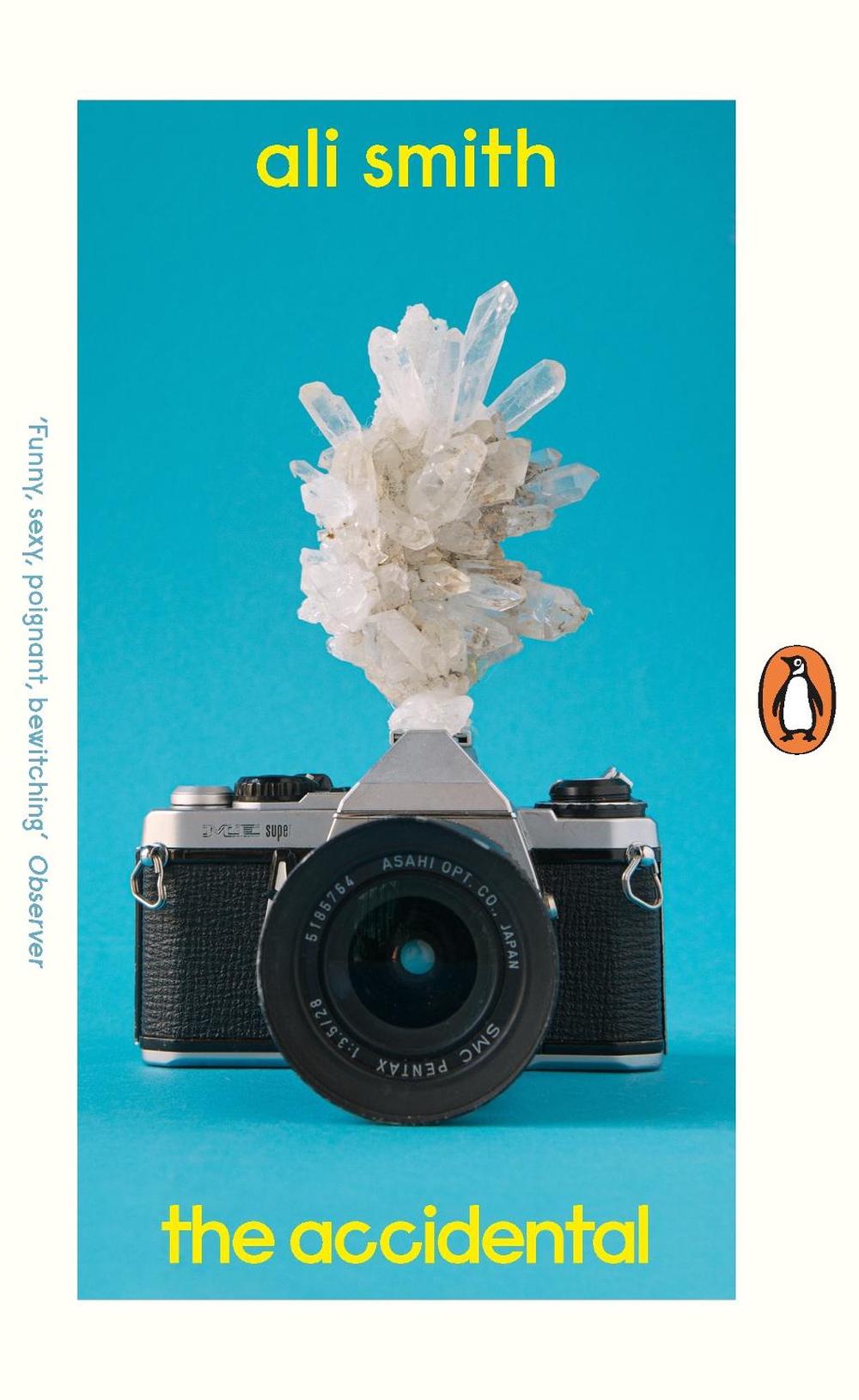 The Accidental by Ali Smith - ISBN: 9780241989111