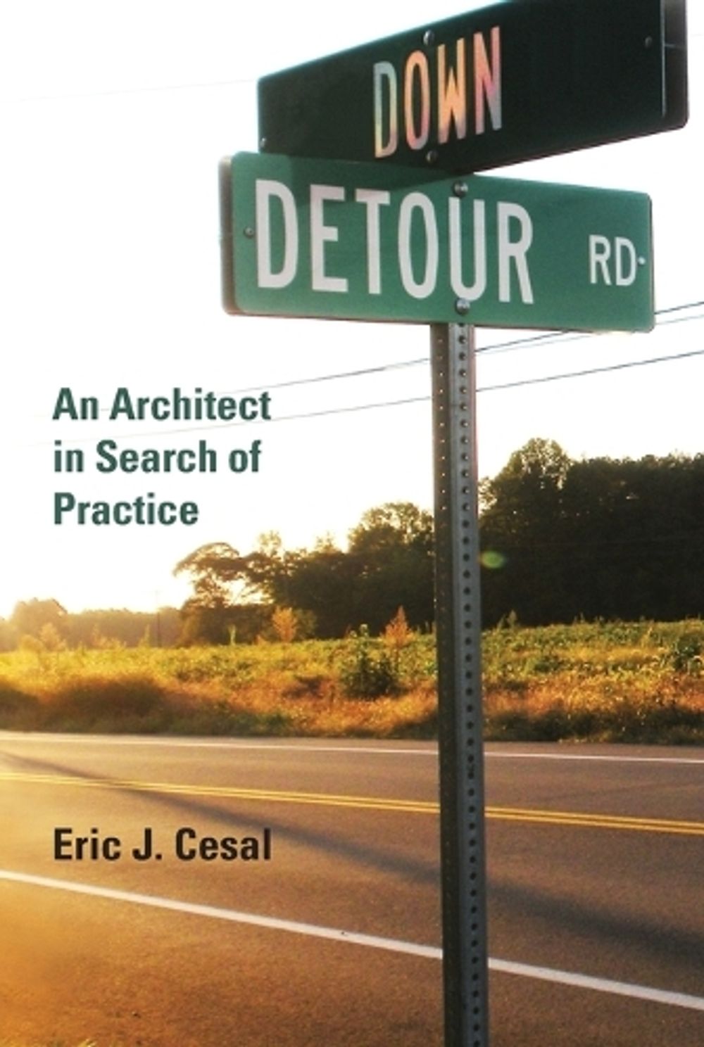 Down Detour Road by Eric J. Cesal - ISBN: 9780262014618