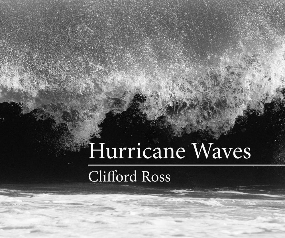 Hurricane Waves by Clifford Ross - ISBN: 9780262029971
