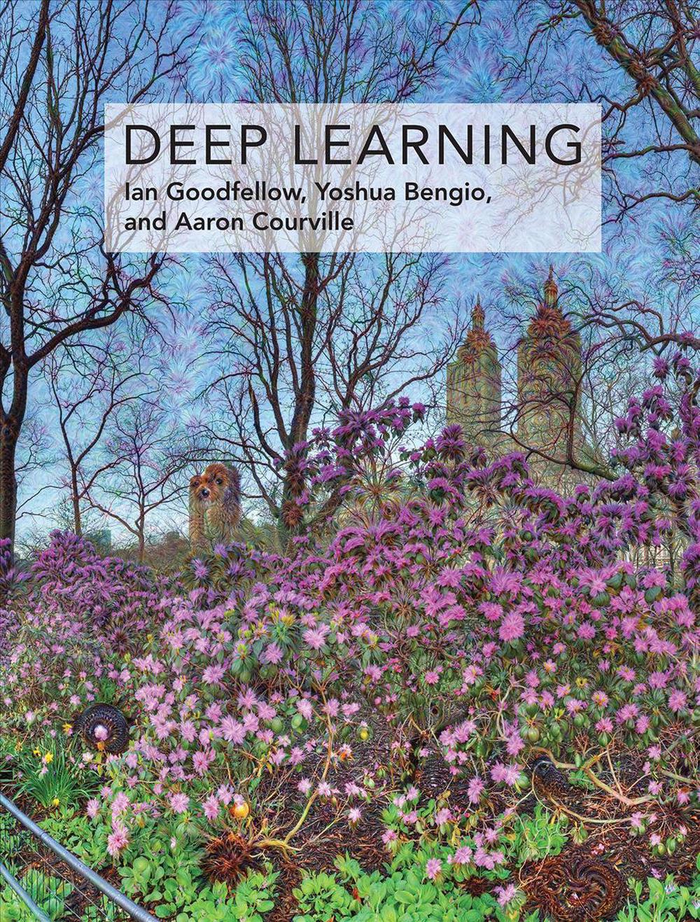 Deep Learning, 9780262035613