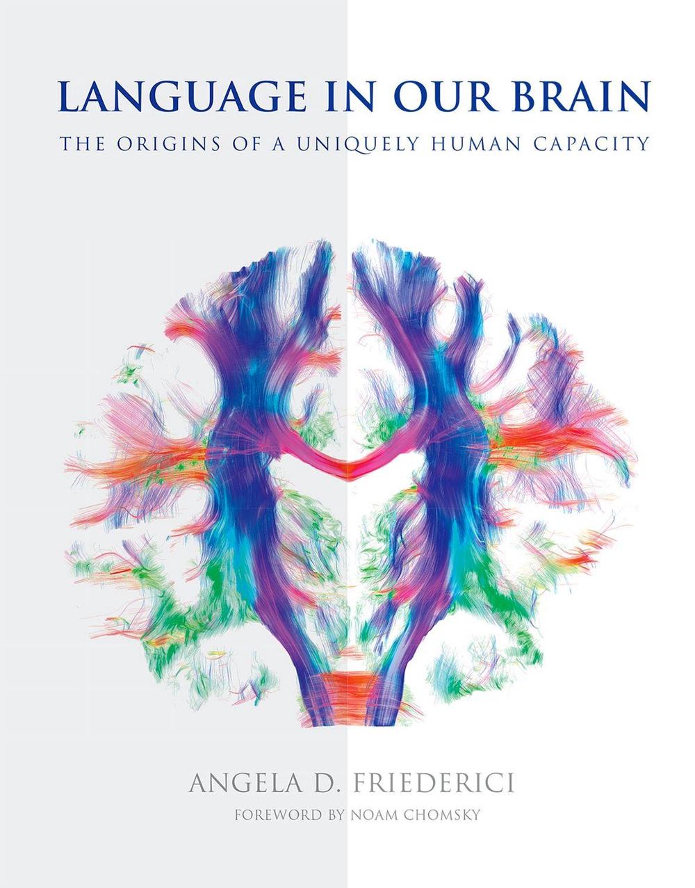 Language in Our Brain by Angela D. Friederici - ISBN: 9780262036924