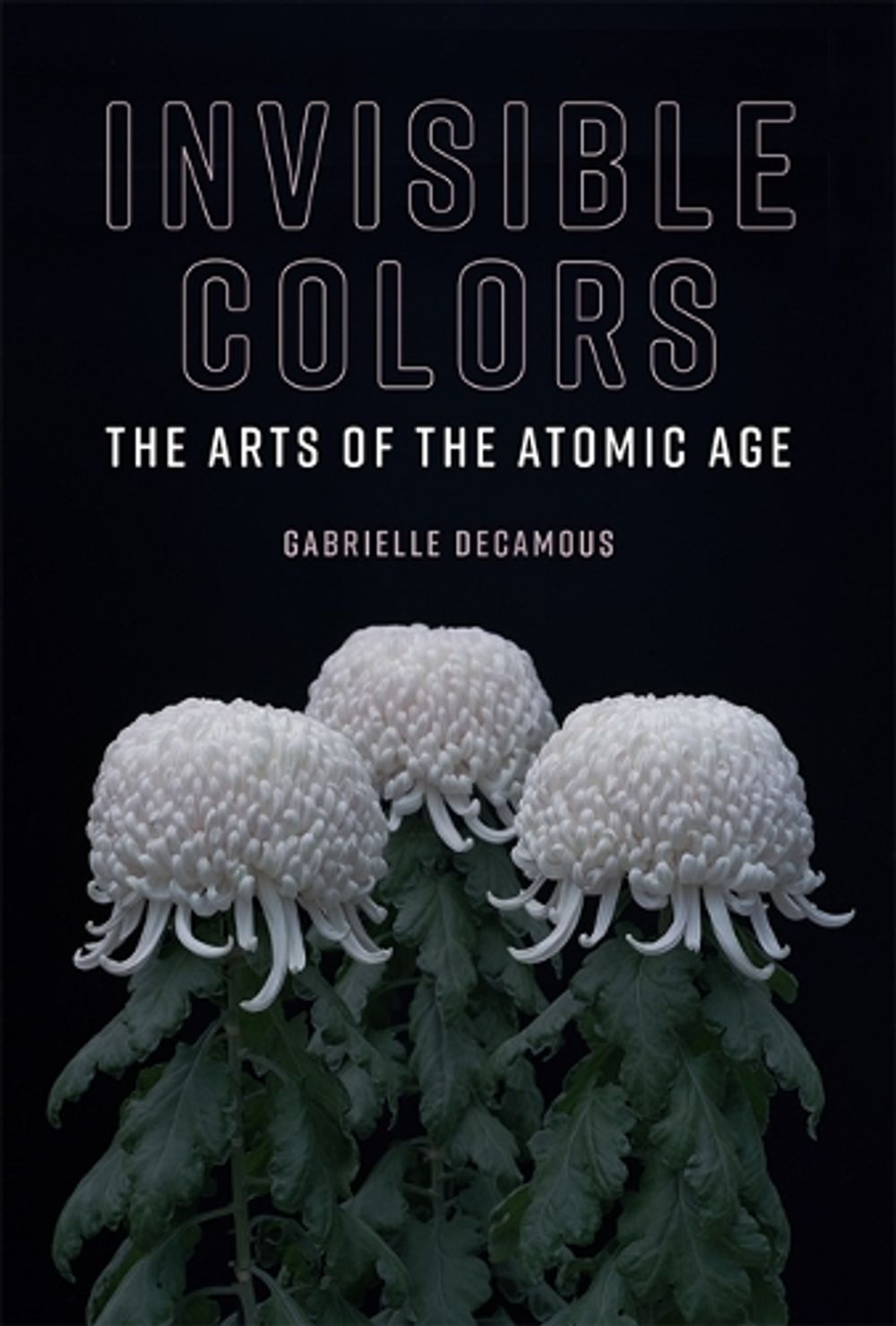 Invisible Colors by Gabrielle Decamous - ISBN: 9780262038546
