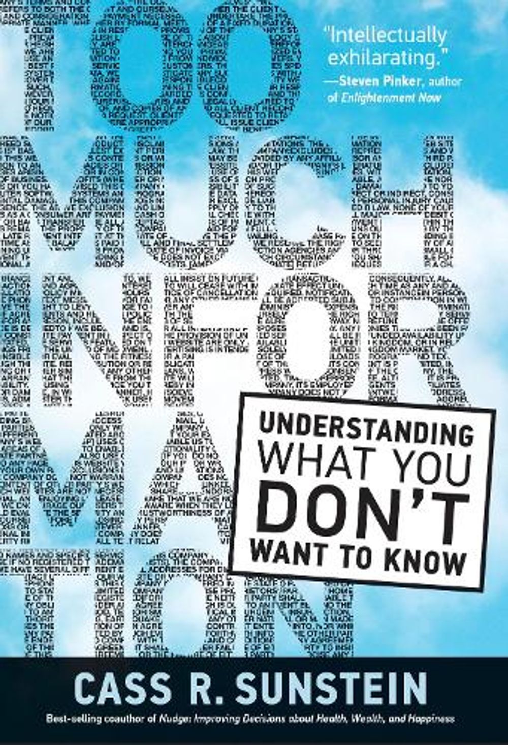 Too Much Information by Cass R. Sunstein - ISBN: 9780262044165